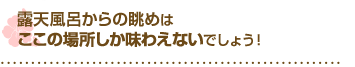 露天風呂からの眺めはここの場所しか味わえないでしょう！