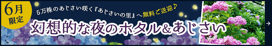 幻想的な夜のホタル&あじさい