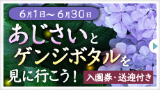 【６月限定☆土曜も平日料金】◆入園券＆無料送迎付（日にち限定）◆幻想的な夜のホタル＆あじさい「初夏満喫プラン」