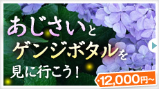 大好評！バイキングプラン