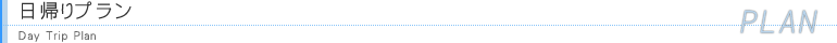 日帰りプラン