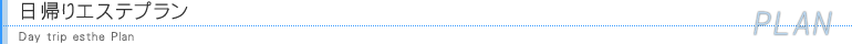 日帰りエステプラン