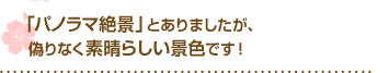 「パノラマ絶景」とありましたが、偽りなく素晴らしい景色です！