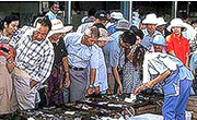 西浦魚市場